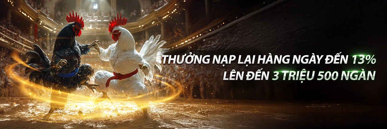 Đá Gà Trực Tuyến Hấp Dẫn tại 88â Đăng Nhập